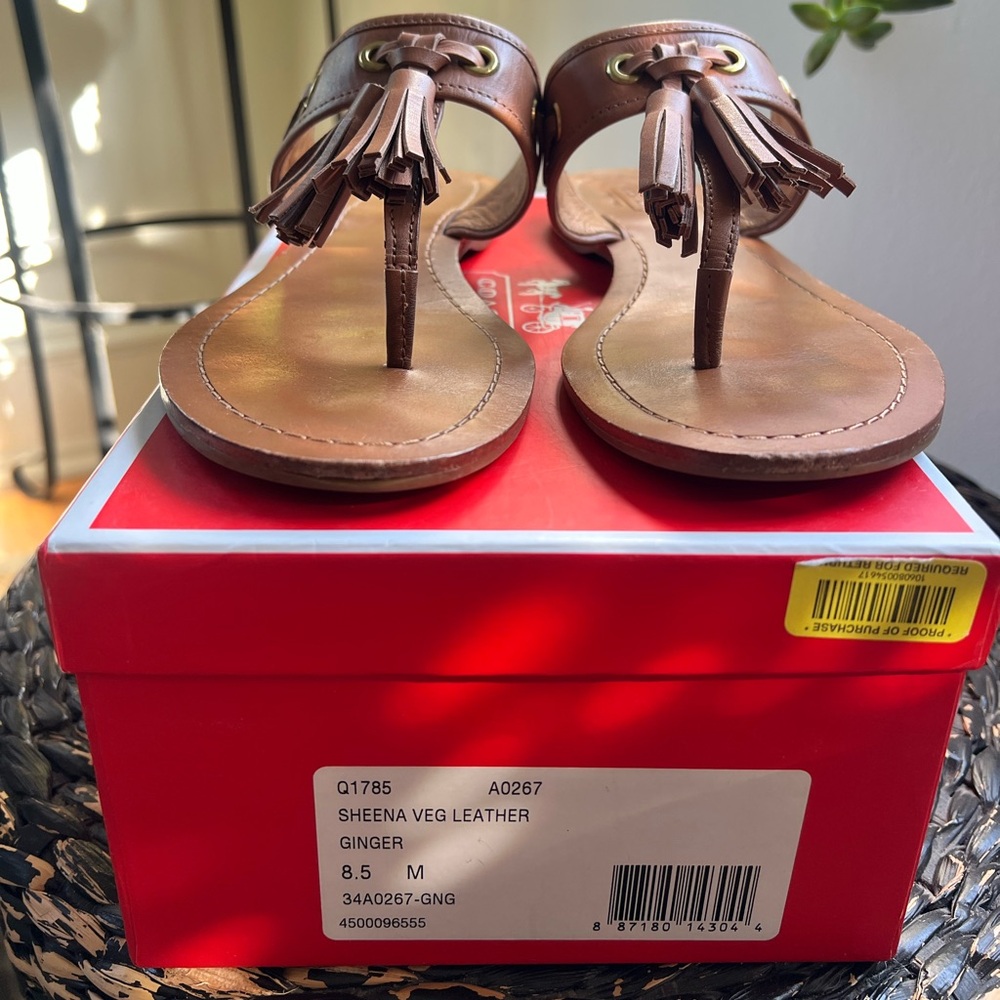 Coach Leather Brown Sandals